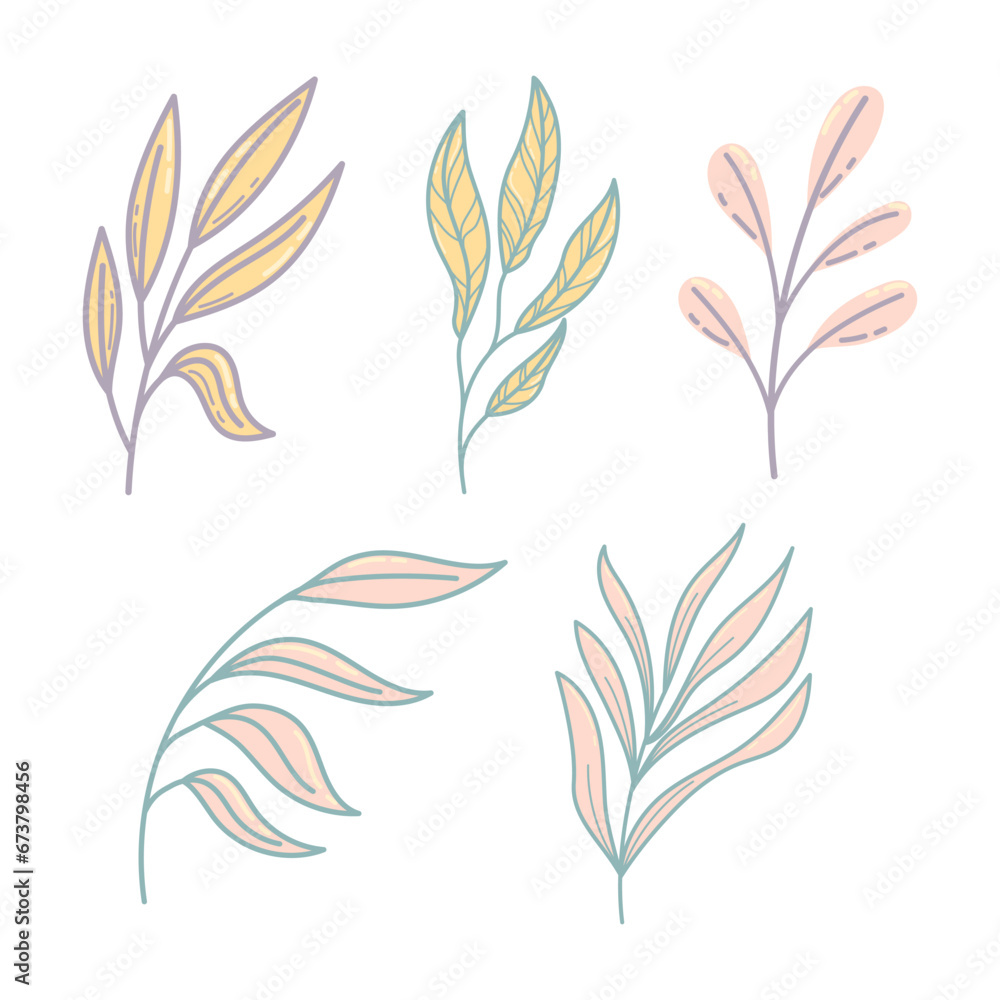 Fototapeta premium Botanical cute hand drawn illustration vector on white background