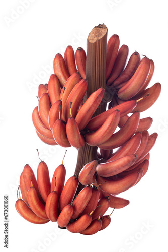 bunch of red bananas isolated on white background. 