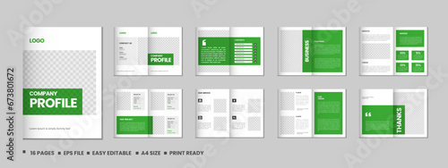 Company profile, multipage flyer brochure, 16 pages portfolio magazine, annual report, catalog and a4 multipage template design