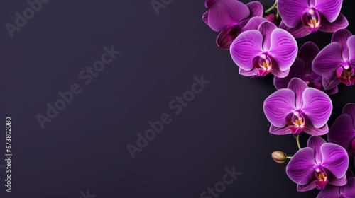 Orchid on dark purple background with copy space  Generative AI