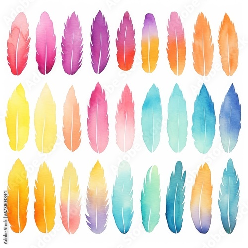 A Vibrant Display of Colorful Feathers on a Clean, White Canvas © pham