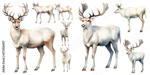 white reindeer watercolor illustration clipart. Generative AI © Dian