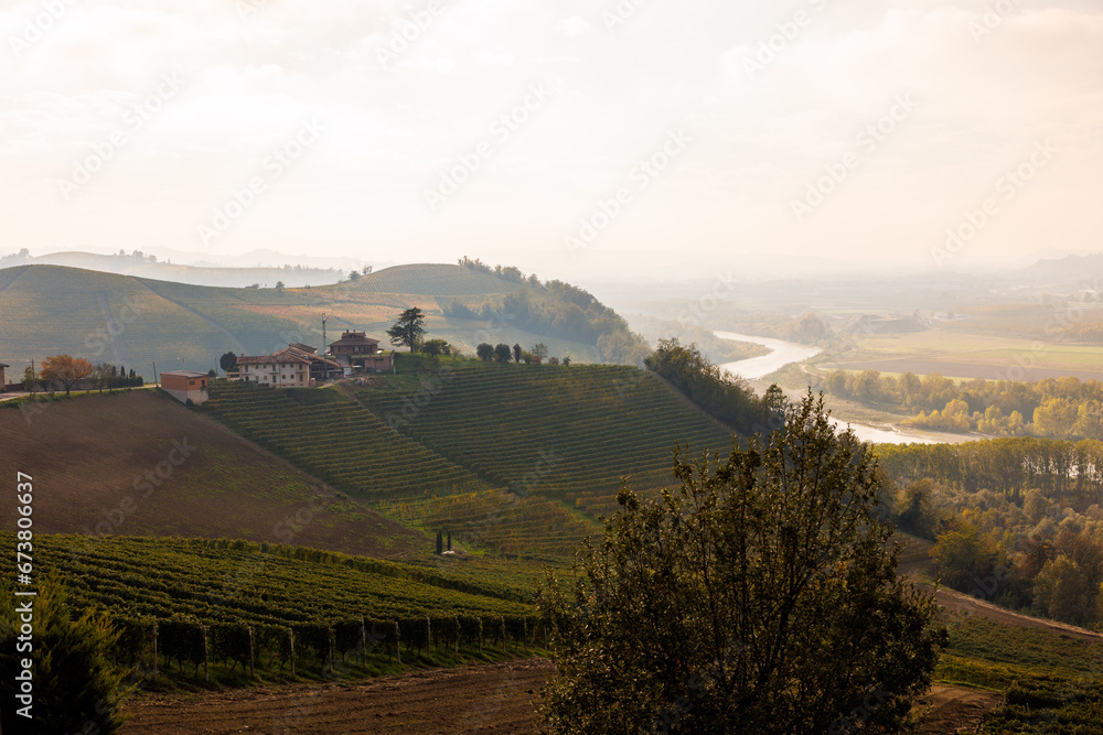 Obraz premium hilly vineyards in Barbaresco, Piedmont in autumn