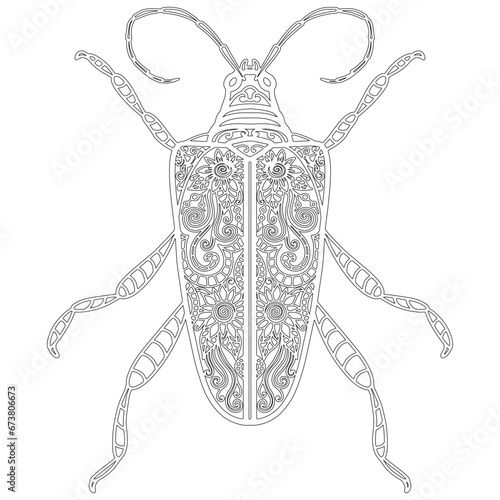 Insect 16, hand drawn, beetle isolated on white background. Colouring page-295.