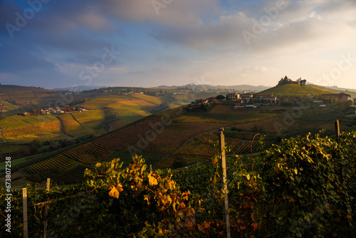 vineyards near Barbaresco  Piedmont in autumn