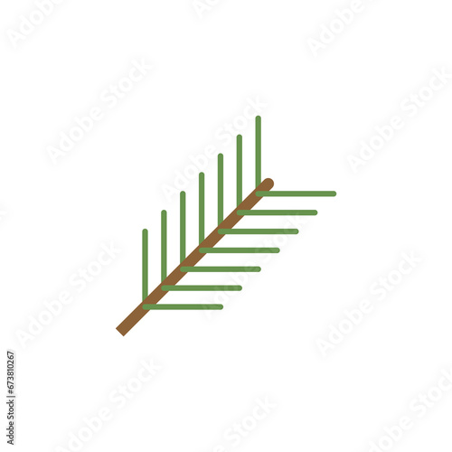 Conifer branch