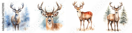 Set of watercolor northern deer isolated on white background photo