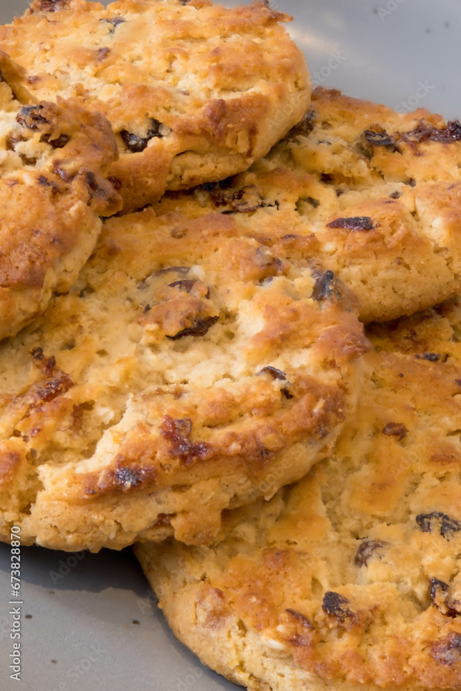 Coconut Cranberry and raisin Cookies on a Grey China plate Coconut Cranberry and raisin Cookies on a Grey China plate