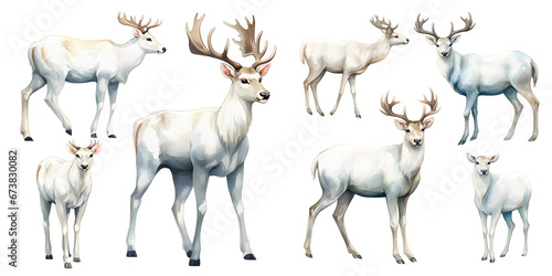 white reindeer watercolor illustration clipart. Generative AI