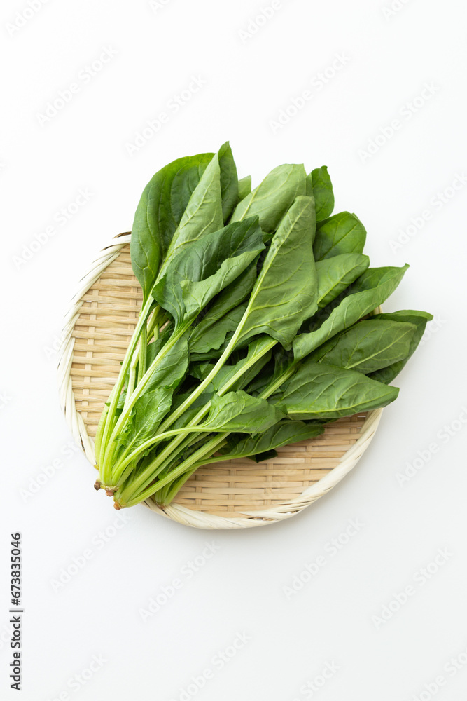 白背景にホウレンソウ