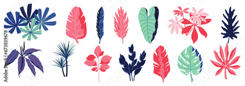 Set of tropical leaves and plants. Vector illustration.