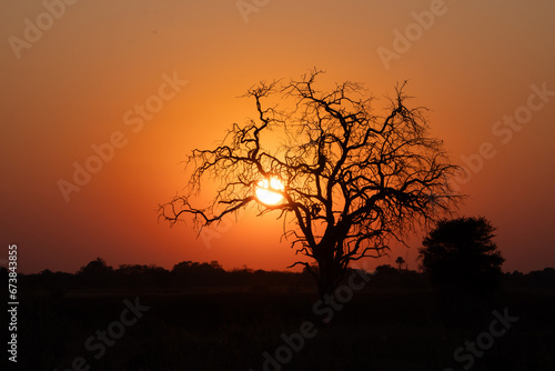 Sonnenuntergang im Okavango Delta in Botswana