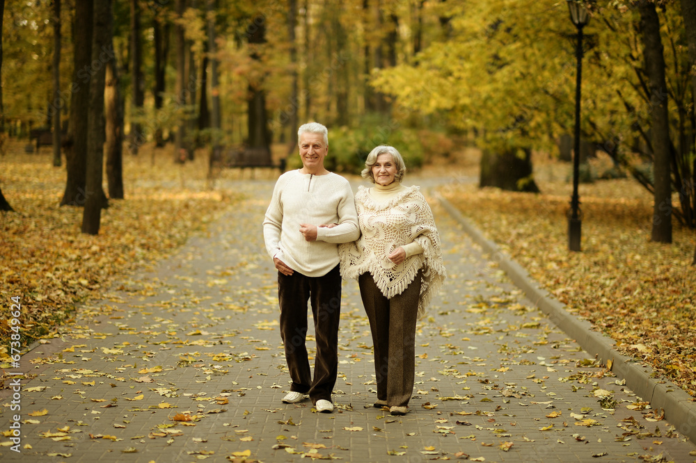 Fototapeta premium Elderly couple dance in the park in autumn.