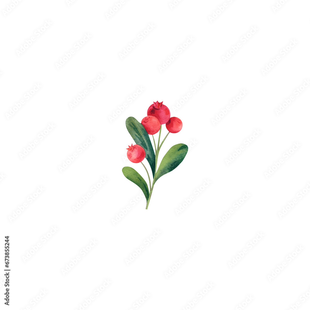 Fototapeta premium Wild berries are red. Cranberries, cranberries, blueberries. Watercolor illustration. Useful plants of the forest.