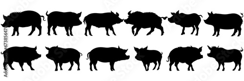 Pig farm animal silhouettes set, large pack of vector silhouette design, isolated white background.