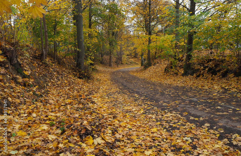 Nebenstraße mit Kurve im Herbst mit buntem Laubblättern Nebenstraße mit Kurve im Herbst mit buntem Laubblättern