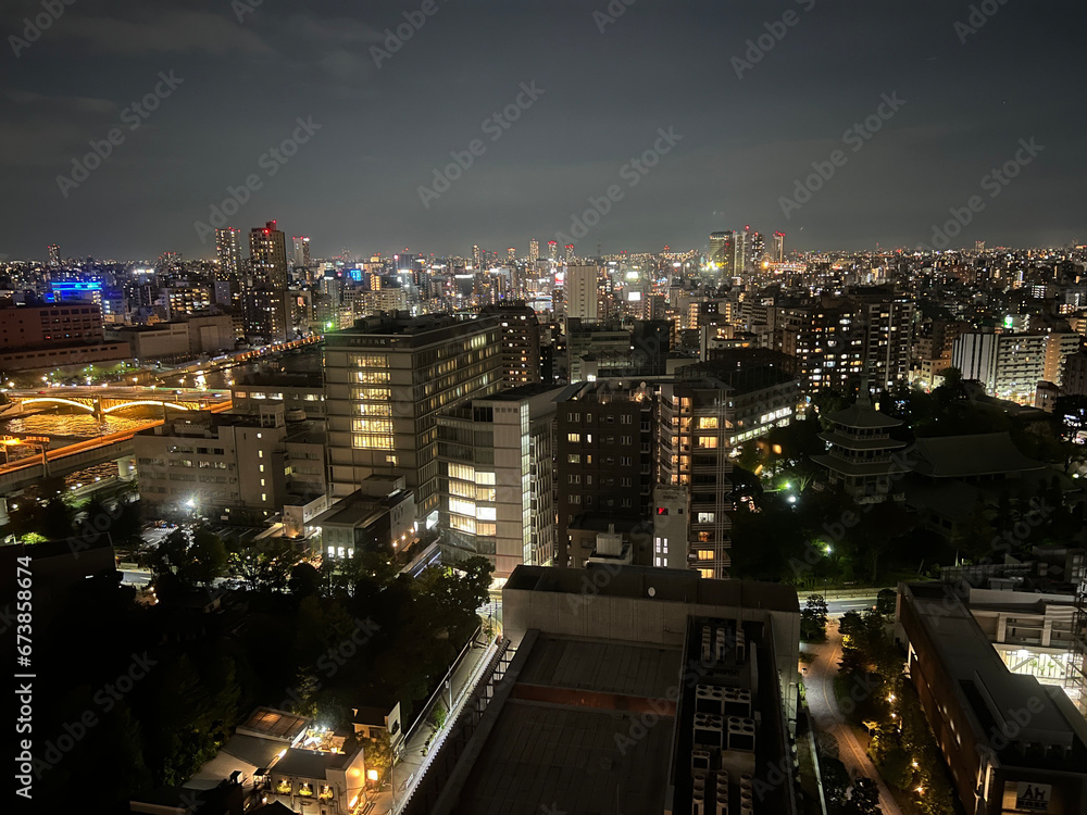 City night view over Tokyo