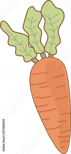 carrot with leaf
