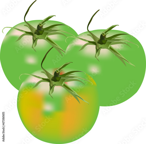 Green tomato isolated on white background photo