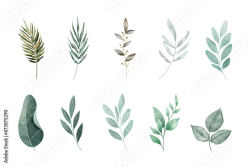 Set of watercolor vector set of fall branches isolated on a white background.