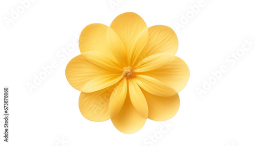 Fototapeta Naklejka Na Ścianę i Meble -  yellow flower isolated on transparent background cutout