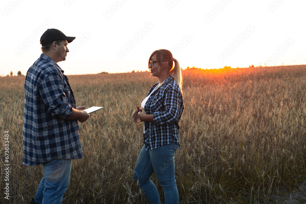 Agriculture. A man and a woman in a wheat field agree to buy grain at sunset with a tablet in their hands. A farmer sells a field of wheat ready for harvest. The concept of buying grain.