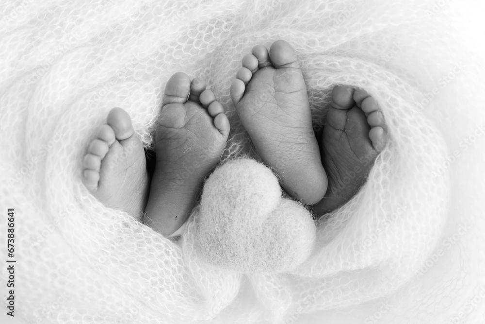 Feet of newborn twins. Two pairs of baby feet in a knitted blanket, knitted heart. Close up - toes, heels and feet of a newborn. Newborn brothers, sisters. Studio macro photography. Black and white Feet of newborn twins. Two pairs of baby feet in a knitted blanket, knitted heart. Close up - toes, heels and feet of a newborn. Newborn brothers, sisters. Studio macro photography. Black and white