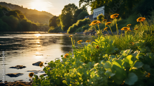 A photo of the Rhine River  with lush greenery as the background  during a serene sunset