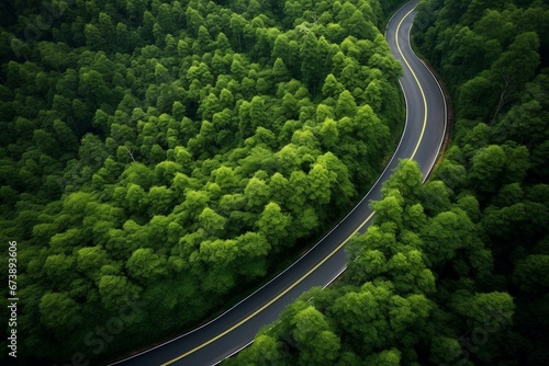 Bird's eye view of forest road with car blur, winding through green foliage. Generative AI