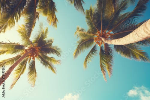 Blue sky and palm trees view from below, vintage style, tropical beach and summer background, travel concept.
