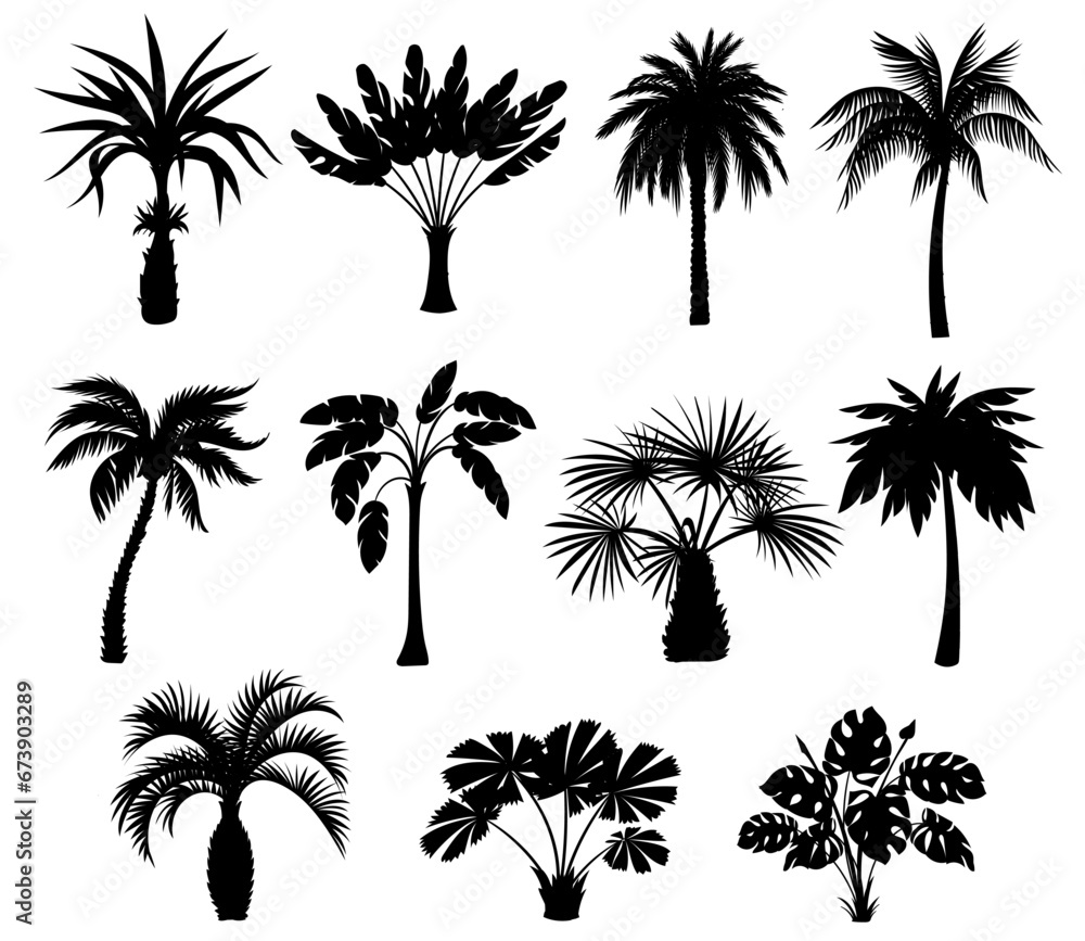 Black palm trees silhouettes. Tropical plants different types. Monochrome detailed shapes. Summer flora. Jungle coconut or banana. Monstera foliage. Botanical elements. Splendid vector set