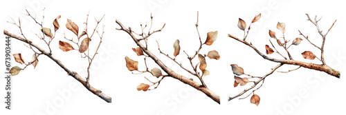 Collection of watercolor tree branches without leaves. Tree without leaves silhouette. For wedding Invitation, greeting card, save the date. Isolated on transparent background. Generative AI photo