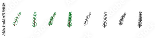 Fir branch vector flat set. Christmas decoration. Pine tree decorative twig collection.