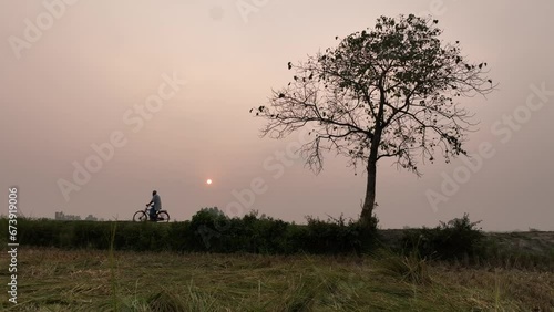 Wallpaper Mural Man riding bicycle in a sunset time. 4k Video of rural Bangladesh. This serene footage is for use in videos about nature, travel, rural life. Torontodigital.ca
