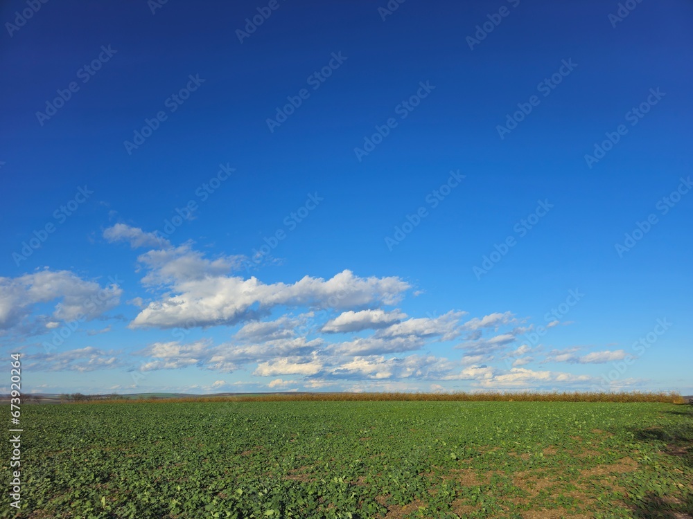 A field with blue sky and clouds