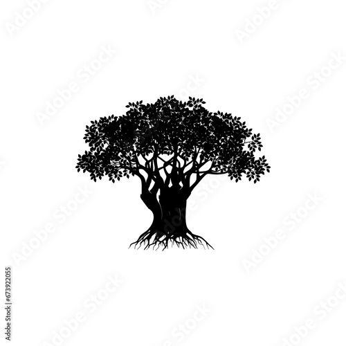 Banyan tree. Banyan tree vector illustration. roots of banyan tree.