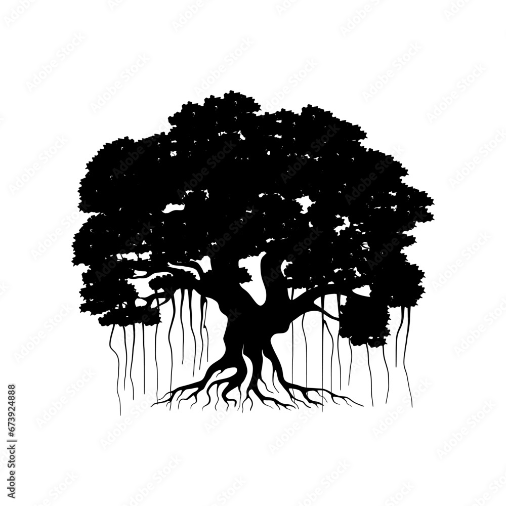 Banyan tree. Banyan tree vector illustration. roots of banyan tree ...