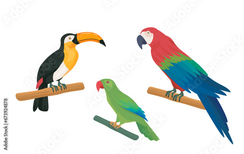Set of exotic birds. Colorful parrots at branches. Tropical fauna and wild life. Rainforest and jungle dwellers with feathers. Cartoon flat vector collection isolated on white background