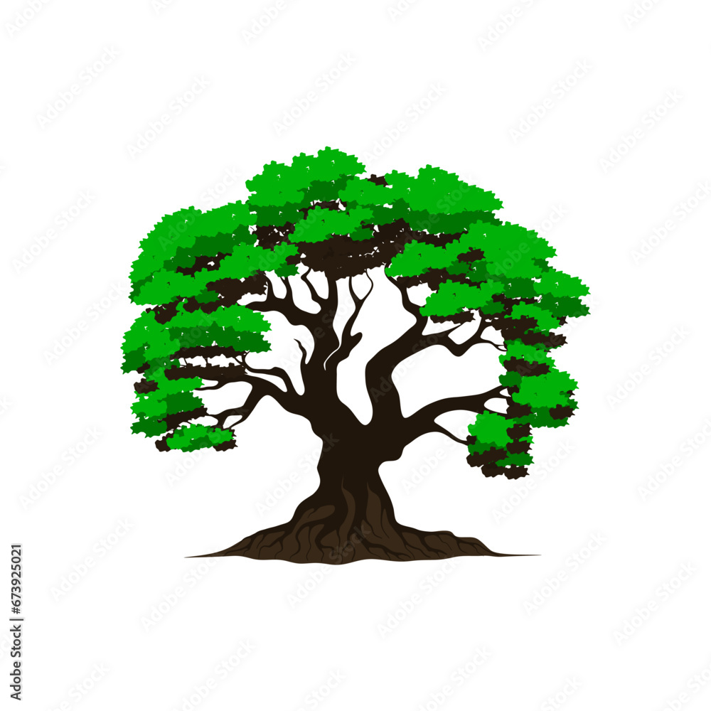 Banyan Tree vector illustration isolated on white background Stock ...