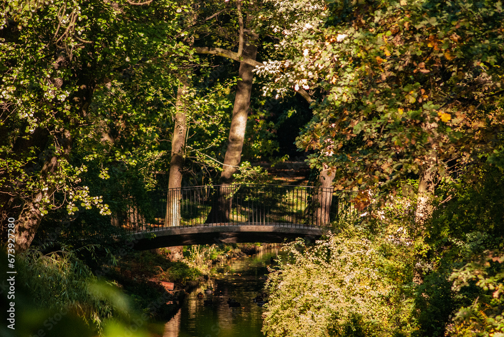 Fototapeta premium Small bridge in the garden