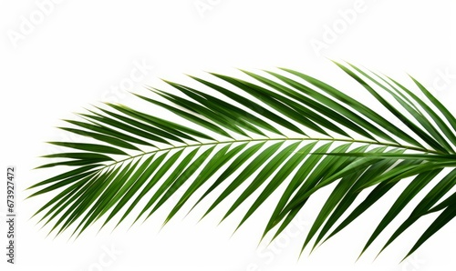 Green leaves of nipa palm or mangrove palm (Nypa fruticans) tropical evergreen plant palm frond, Generative AI photo