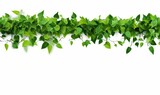 Green leaves nature frame border of devil's ivy or golden pothos the tropical foliage plant on white background, Generative AI