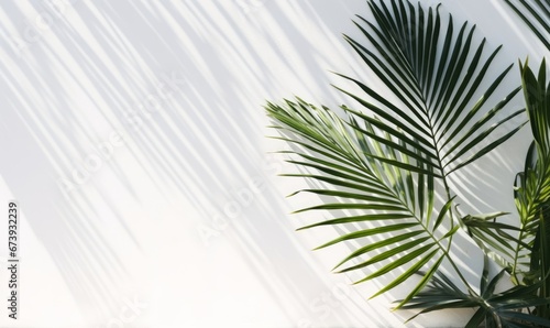 Tropical palm leaves with shadows on white concrete wall abstract blurred tropical background  Generative AI