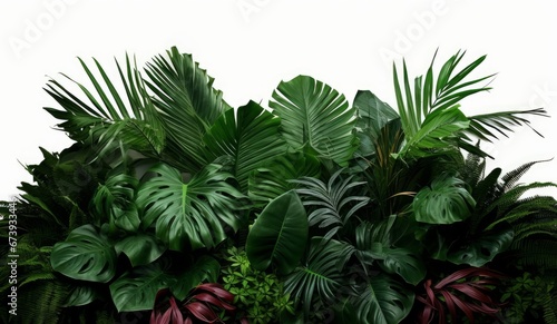 Tropical foliage plant bush  Monstera  palm leaves  Calathea  Cordyline or Hawaiian Ti plant  ferns  and fir  floral arrangement indoors garden nature backdrop  Generative AI