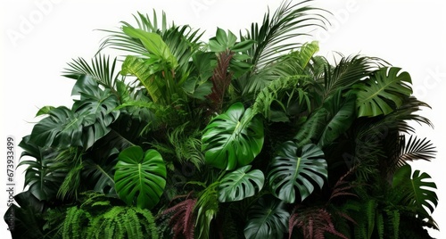 Tropical foliage plant bush  Monstera  palm leaves  Calathea  Cordyline or Hawaiian Ti plant  ferns  and fir  floral arrangement indoors garden nature backdrop  Generative AI