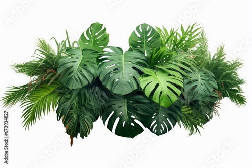 Tropical leaves foliage plants bush floral arrangement nature backdrop on white background, Generative AI photo