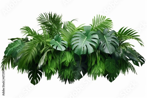 Tropical leaves foliage plants bush floral arrangement nature backdrop on white background  Generative AI