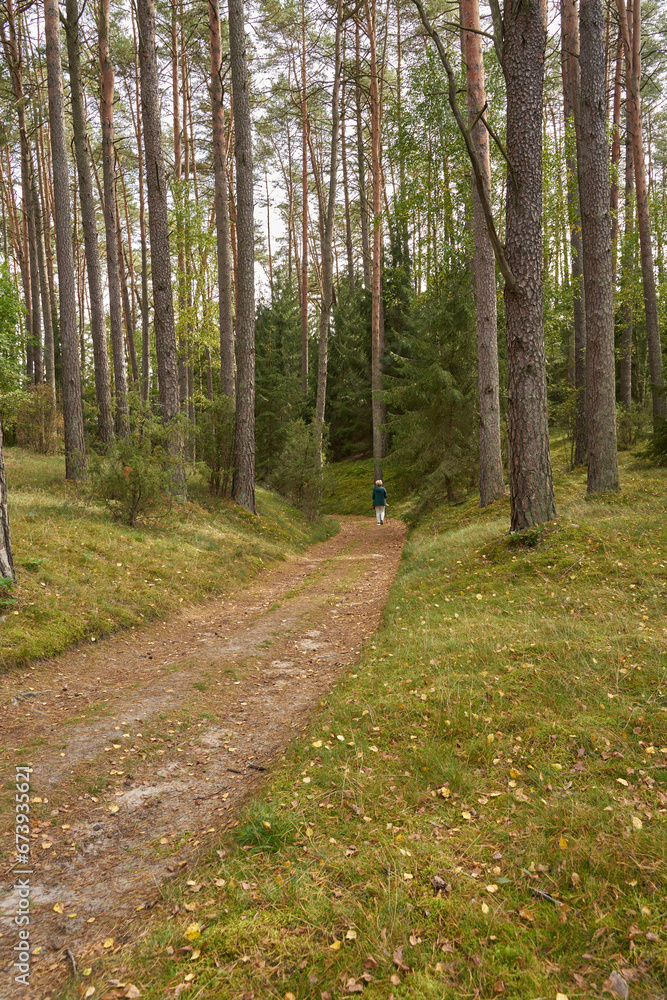 Obraz premium Drawieński Park Narodowy, Polskie Parki Narodowe