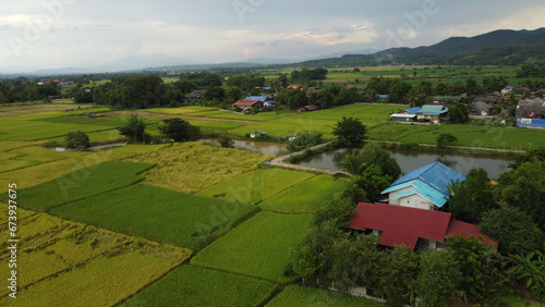 Corn Garden and Paddy field and Hut in Pong Distric Phayao Province,Northern of Thailand, Relaxing Vacation on Winter Season November 2023