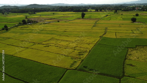 Corn Garden and Paddy field and Hut in Pong Distric Phayao Province,Northern of Thailand, Relaxing Vacation on Winter Season November 2023